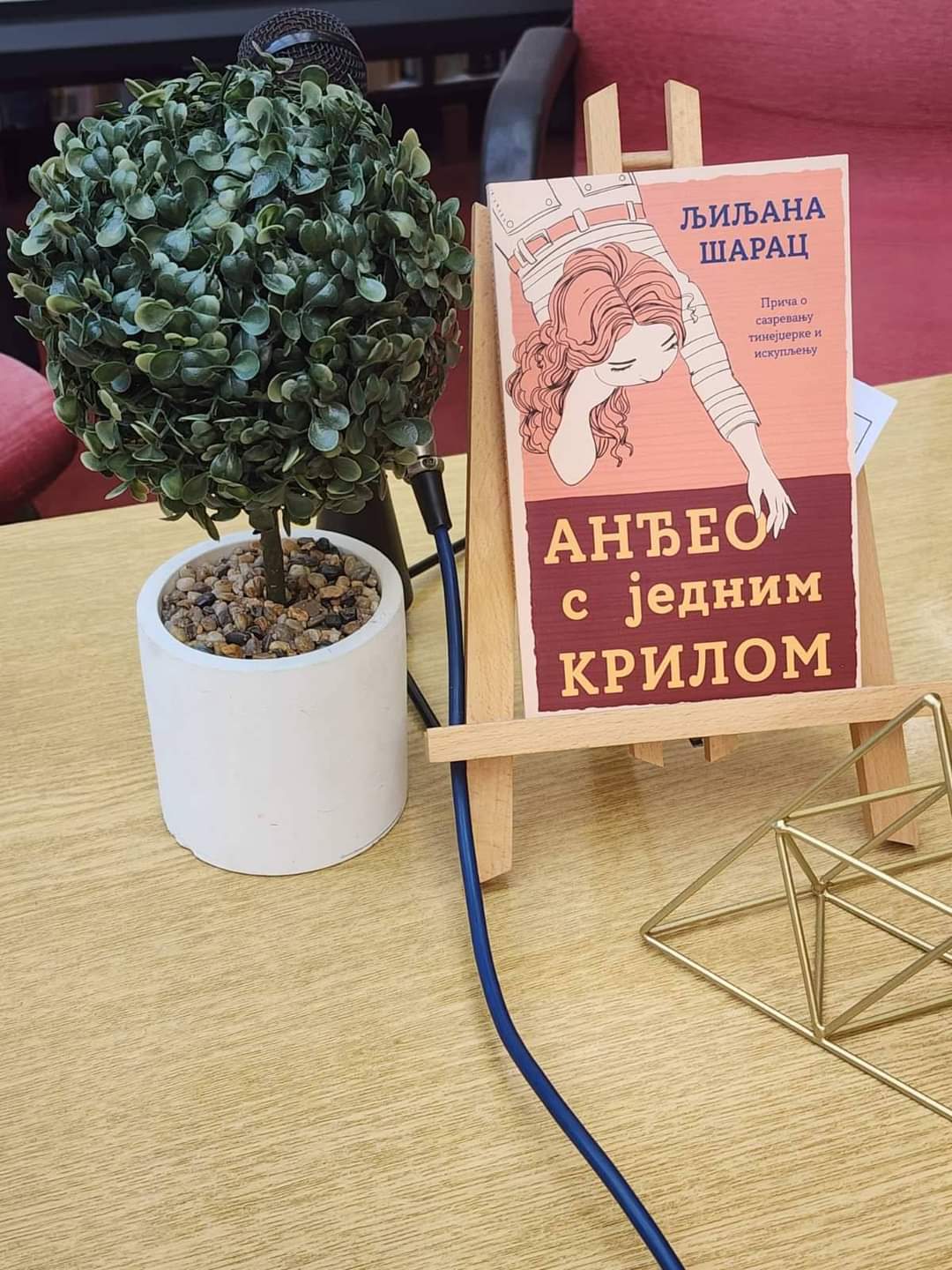 FB IMG 1698208034877