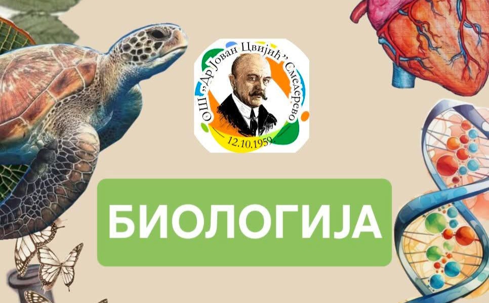 FB IMG 1773695066979