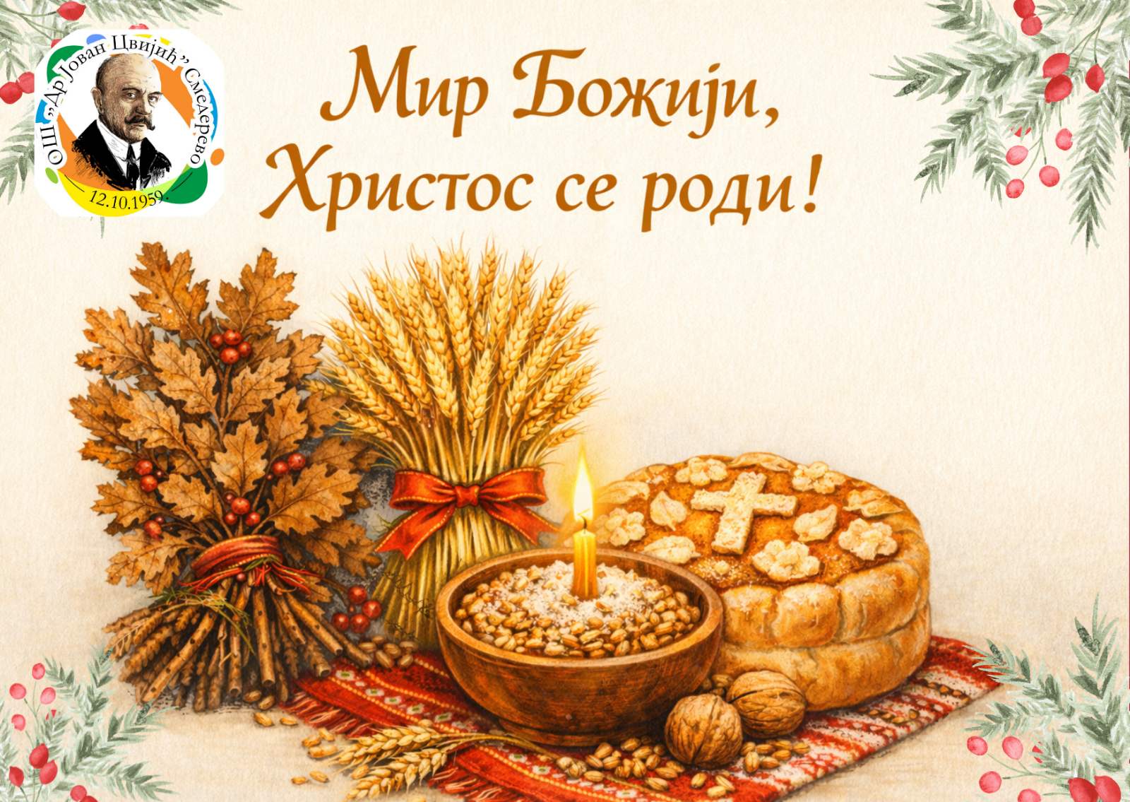 IMG 0e7957a329b2eb14afa328d3d2daed20 V