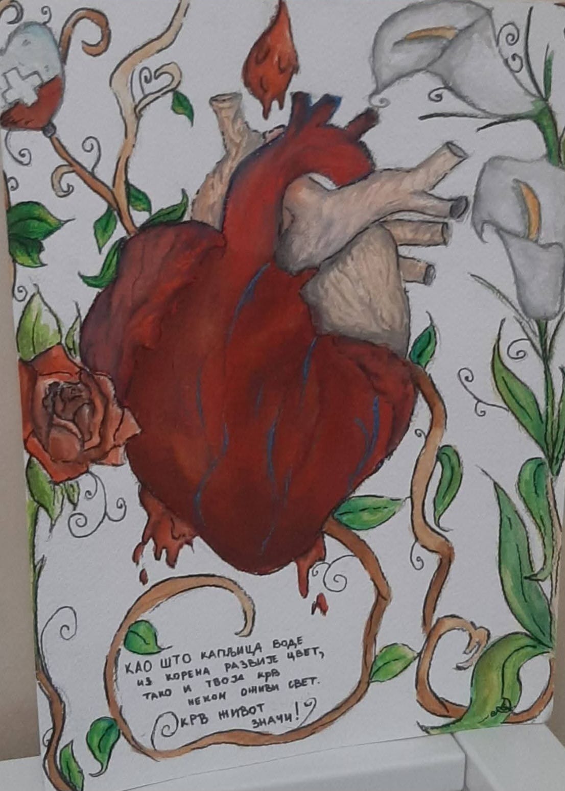 IMG 20260120 WA0005 1